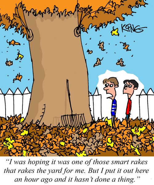 "I was hoping it was one of those smart rakes that rakes the yard for mee..."