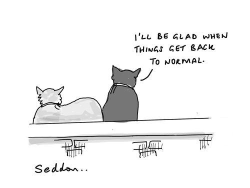 "I'll be glad when things get back to normal."