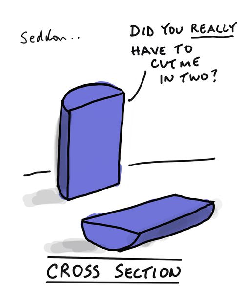Cross Section