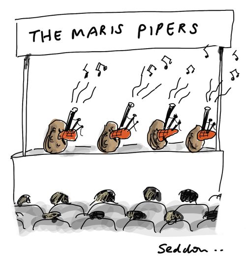 The Maris Pipers
