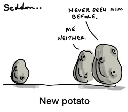 New potato