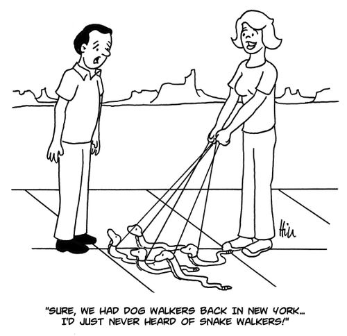 "Sure, we had dog walkers back in New York. . . I'd just never heard of snake walkers!"