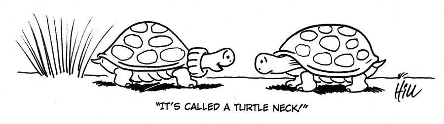 "It's called a turtle neck!"