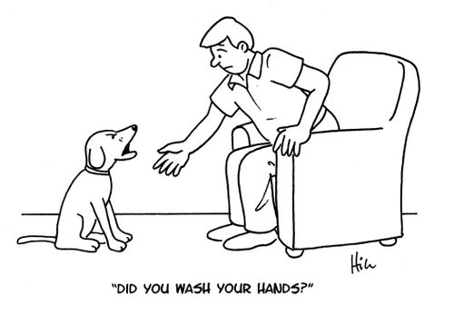 "Did you wash your hands?"