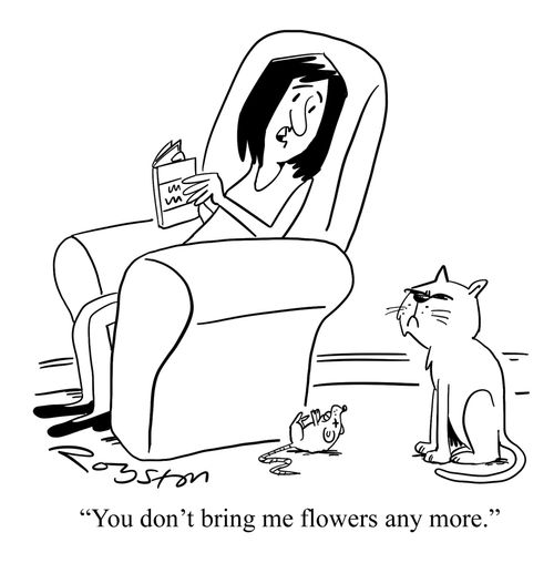 "You don't being me flowers any more."