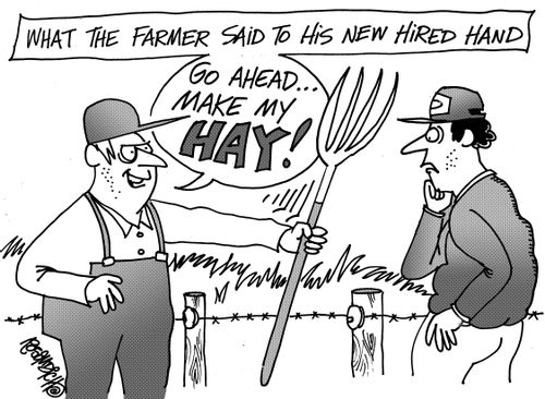 What the farmer said to his new hired hand