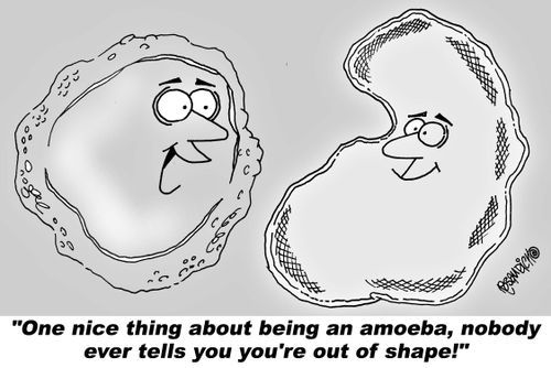 "One nice thing about being an amoeba, nobody ever tells you you're out of shape!"