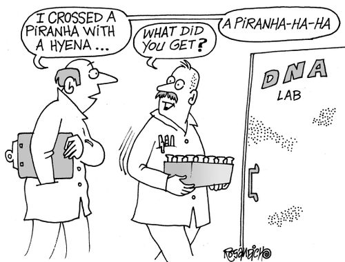"I crossed a piranha with a hyena. . . a piranha-ha-ha."