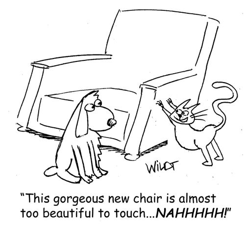 "This gorgeous new chair is almost too beautiful to touch... NAHHHHH!"
