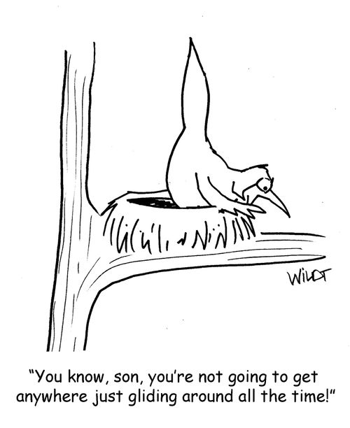"You know, son, you're not going to get anywhere just gliding around all the time!"