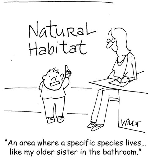 "An area where a specific species lives. . . like my older sister in the bathroom."
