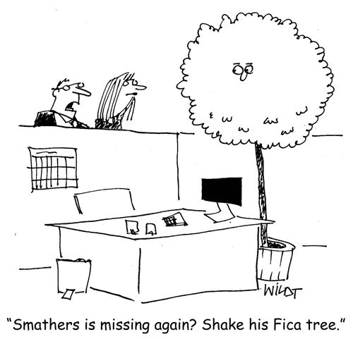 "Smathers is missing again? Shake his Fica tree."