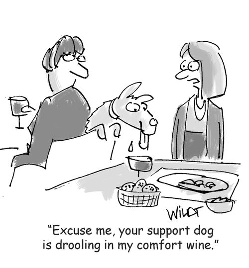 "Excuse me, your support dog is drooling in my comfort wine."