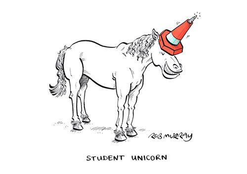 "Student unicorn"