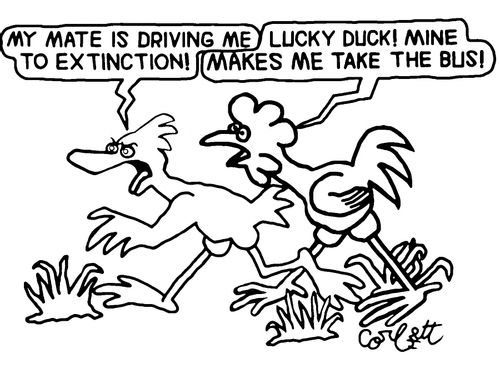 "My mate is driving me to extinction!"
