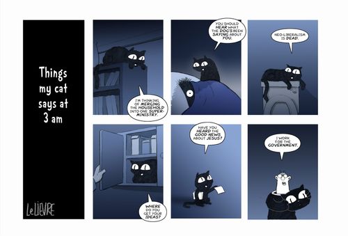 Things my cat says at 3 am