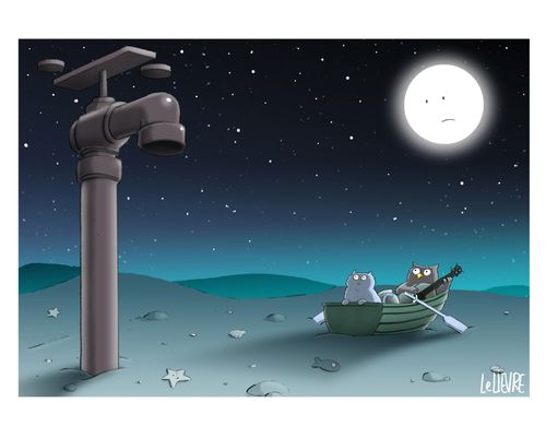 The owl and the pussycat in a drought 