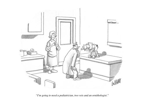 "I'm going to need a pediatrician, two vets and an ornithologist."