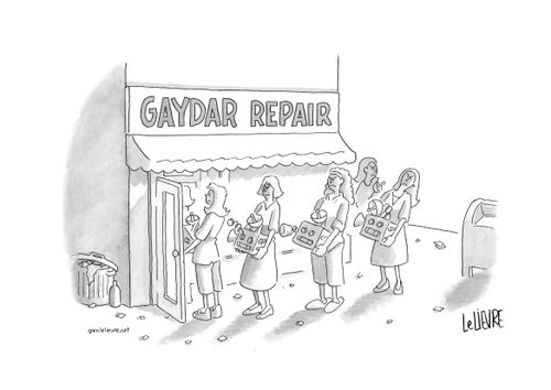 Gaydar Repair