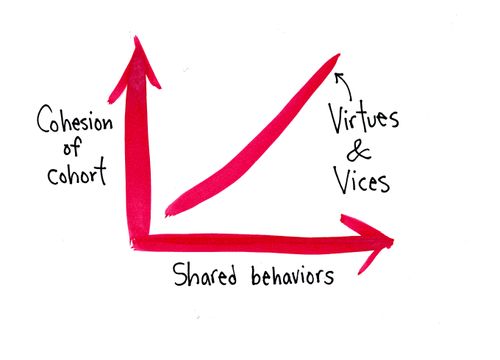 Cohesion Of Cohort/Shared Behaviors