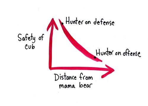 Safety of cub/Distance from mama bear