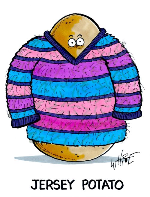 Jersey Potato