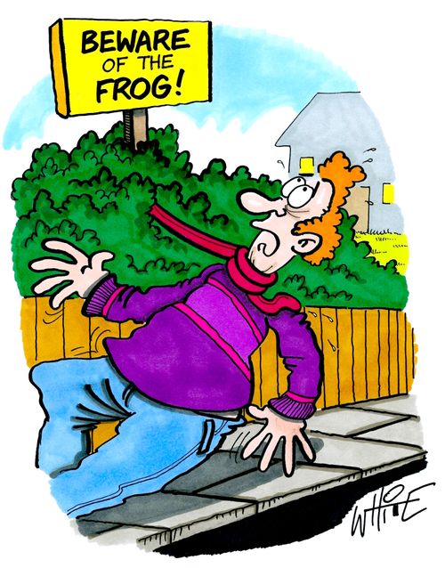 Beware of the Frog