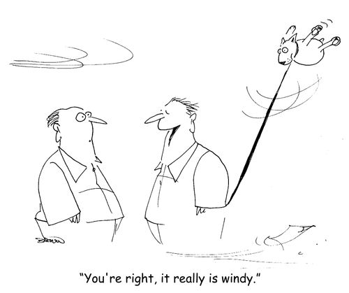 "You're right, it really is windy."