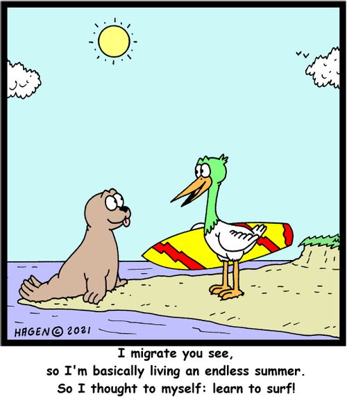 "I migrate you see, so I'm basically living an endless summer. So I thought to myself: learn to surf!"