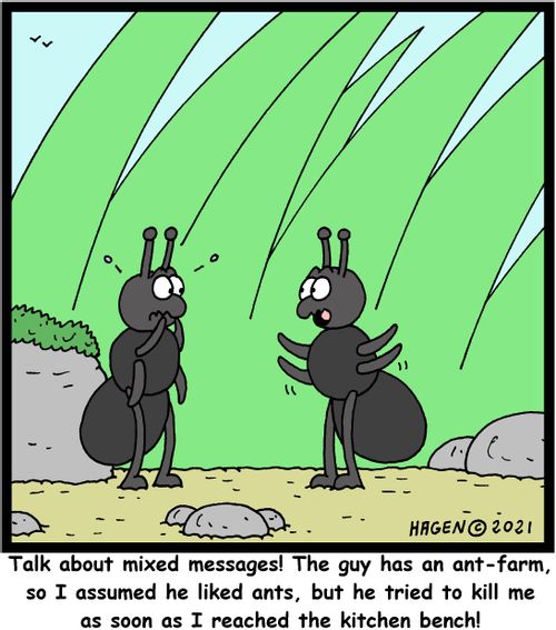 "Talk about mixed messages! The guy has an ant-farm so I assumed he liked ants, but he tried to kill me as soon as I reached the kitchen bench!"