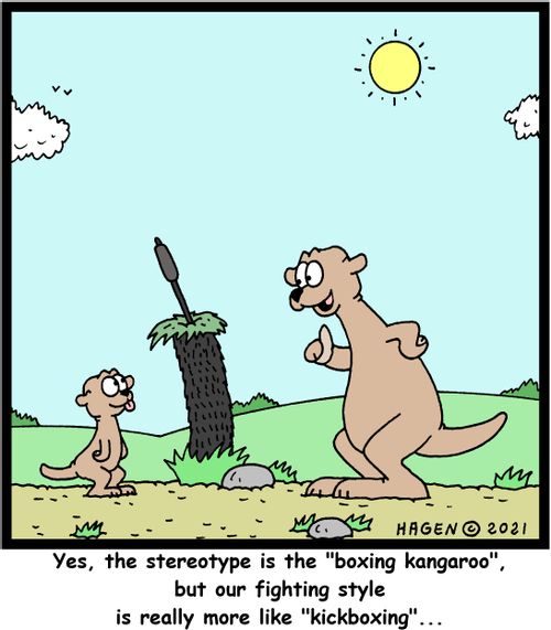 "Yes, the stereotype is the 'boxing kangaroo', but our fighting style is really more like 'kickboxing'. . ."