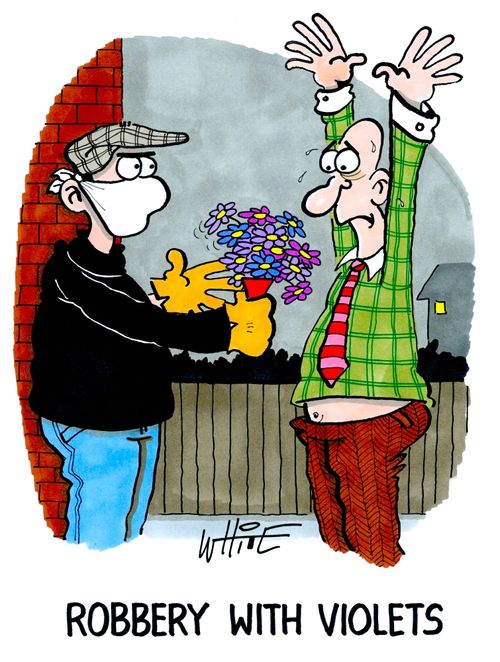 Robbery with violets