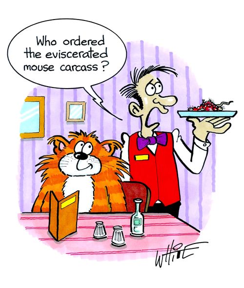 "Who ordered the eviscerated mouse carcass?"