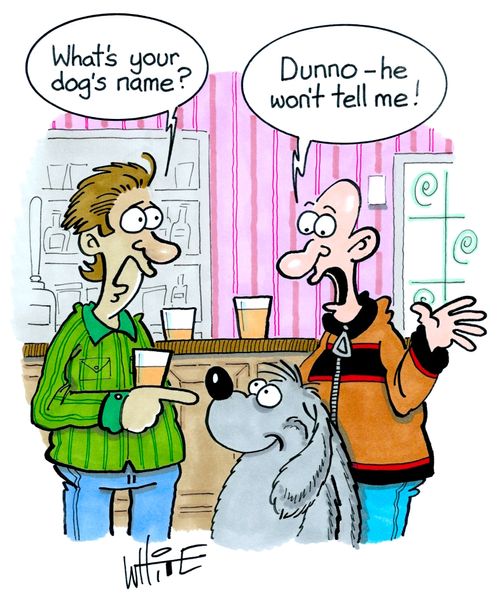 "What's your dog's name?"