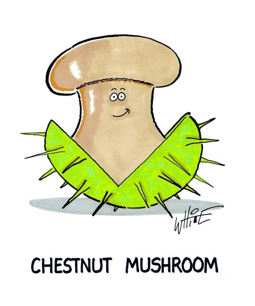 Chestnut Mushroom