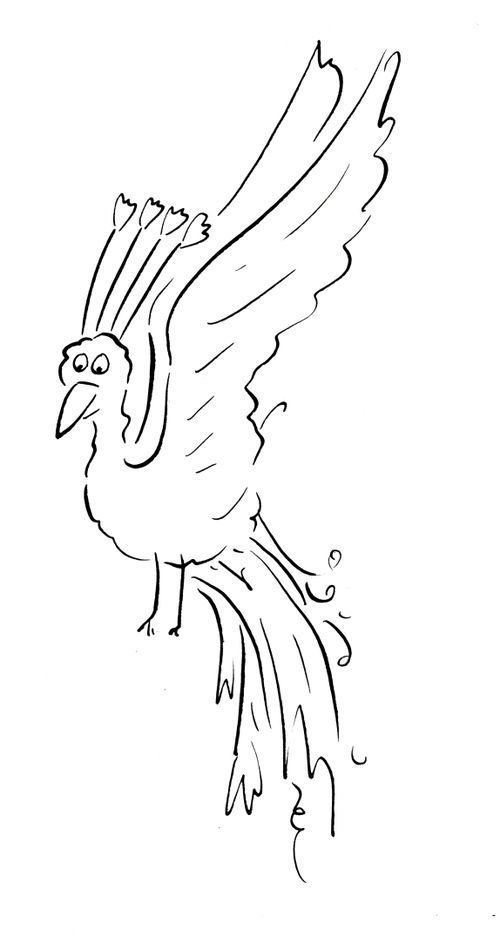 A Peacock in flight