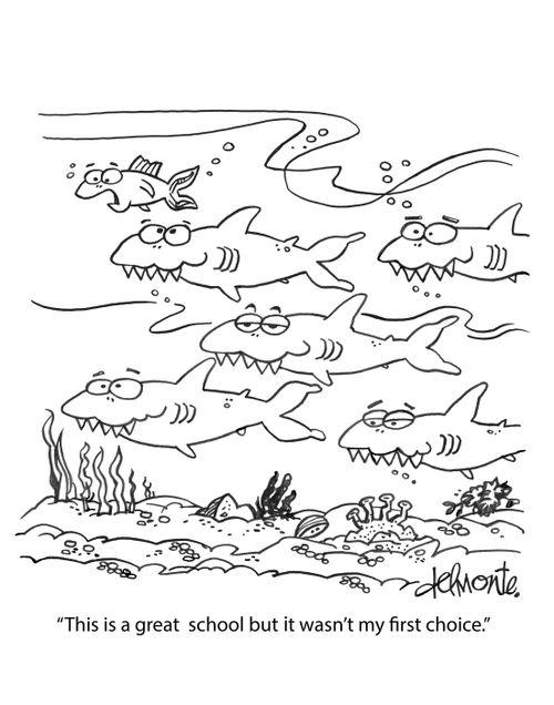 "This is a great school but it wasn't my first choice."