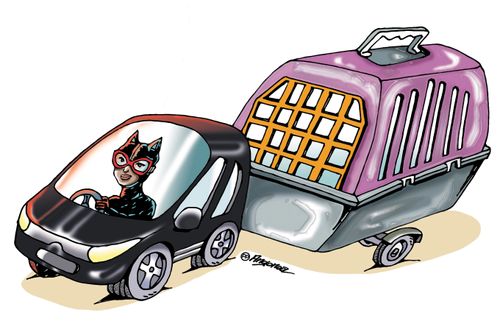 Catwoman with a cat carrier.