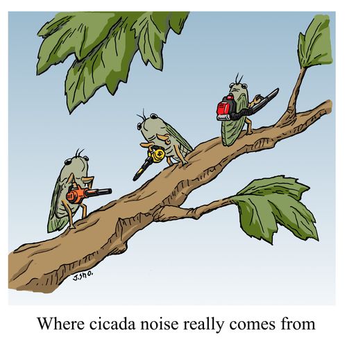 Where cicada noise really comes from.