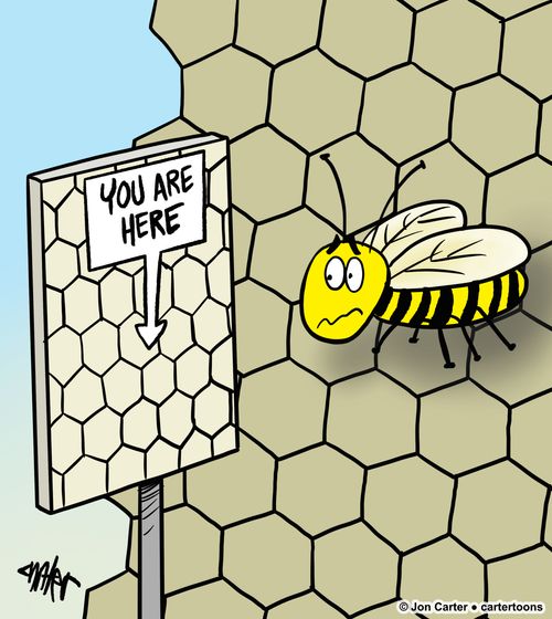 You are here