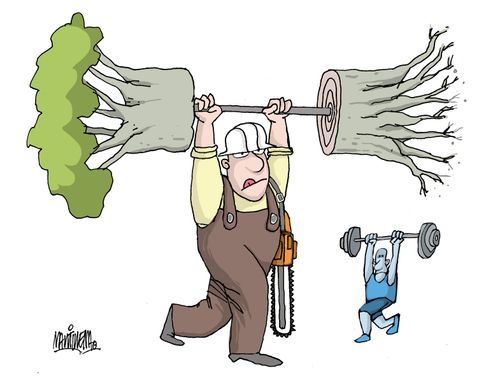 Deforestation
