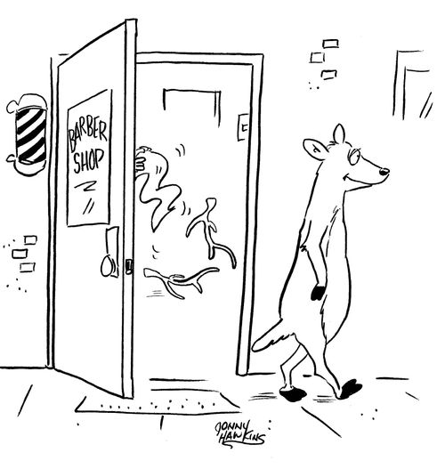 Deer Barber