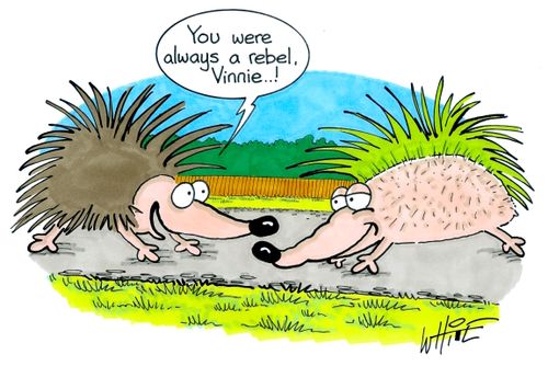 "You were always a rebel, Vinnie..!"
