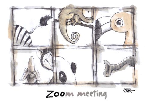 Zoom Meeting