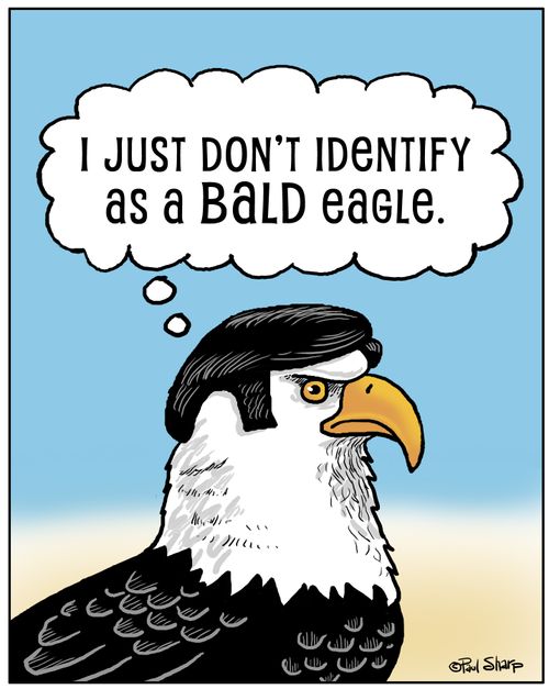 I just don't identify as a bald eagle