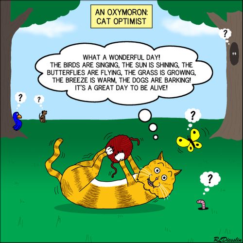 An oxymoron: Cat optimist