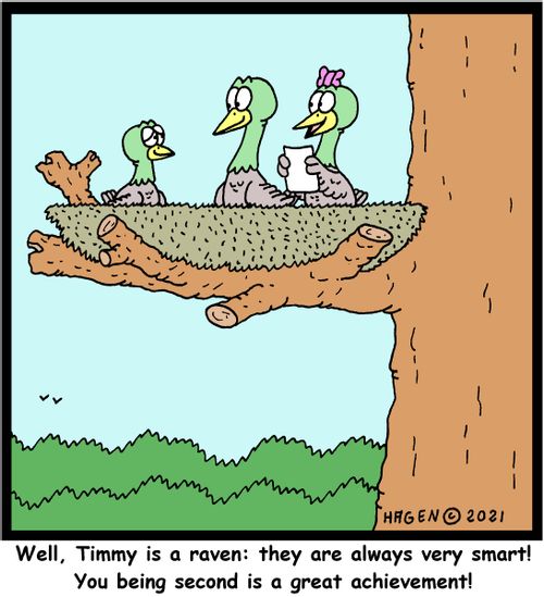 "Well, Timmy is a raven: they are always very smart! You being second is a great achievement!"