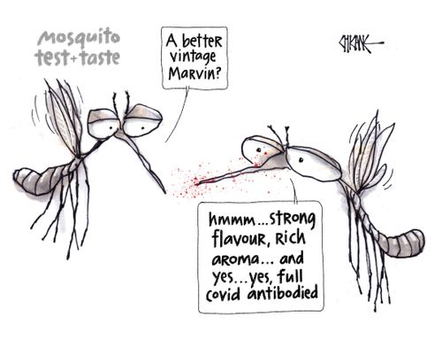 Mosquito Test + Taste