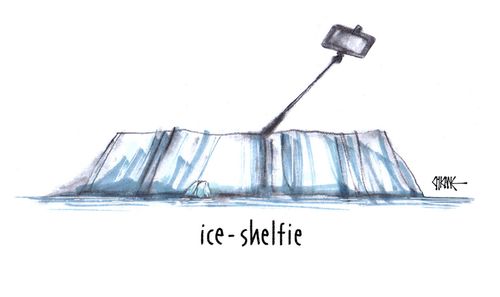 Ice-Shelfie