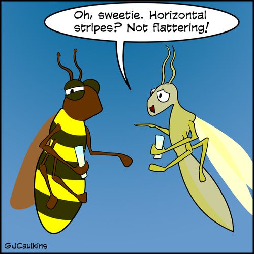 "Oh, sweetie. Horizontal stripes? Not flattering."
